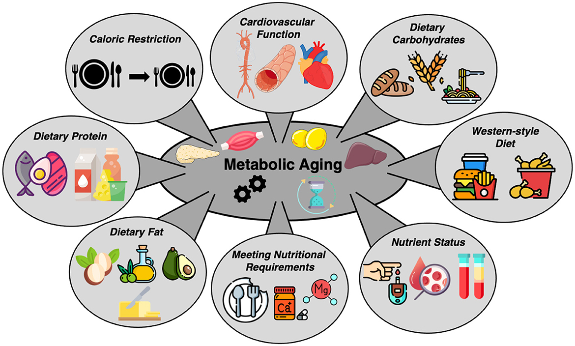 Metabolic Interventions and Nutritional Science