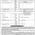 SHAIKH ZAYED POSTGRADUATE MEDICAL INSTITUTE JOBS 2025