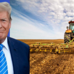 Donald Trump Plowing in the Field