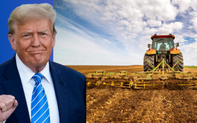 Donald Trump Plowing in the Field